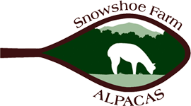 Vermont alpaca yarn from Snowshoe Farm Alpacas